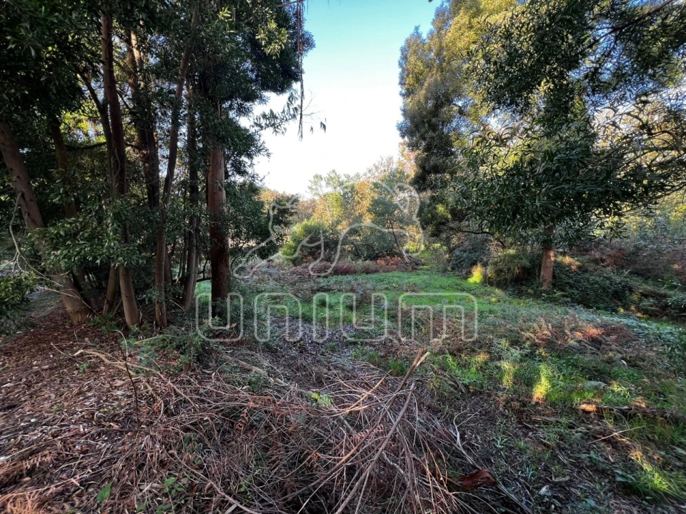 Terreno para Venda em Seixas Foto 1