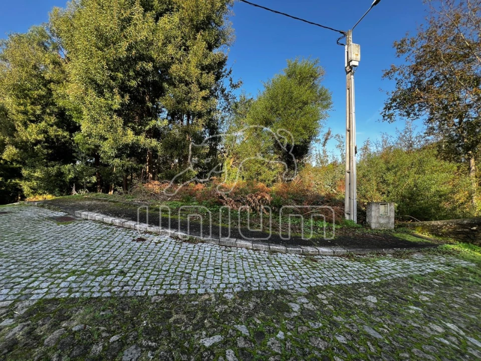 Terreno para Venda em Seixas Foto 5