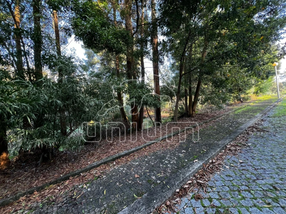 Terreno para Venda em Seixas Foto 6