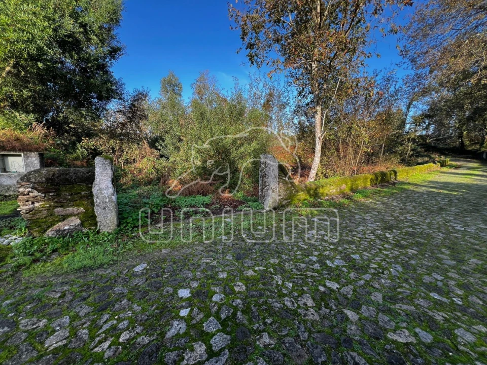 Terreno para Venda em Seixas Foto 7