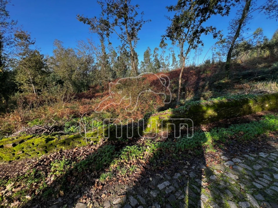Terreno para Venda em Seixas Foto 8