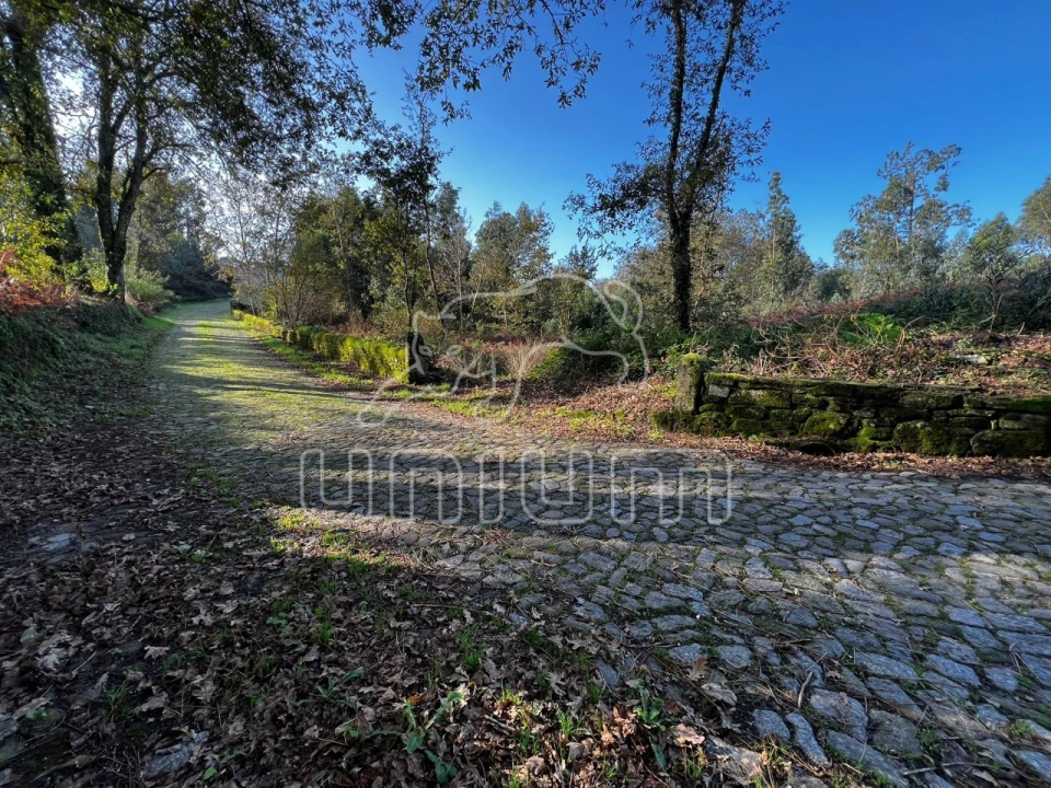 Terreno para Venda em Seixas Foto 9