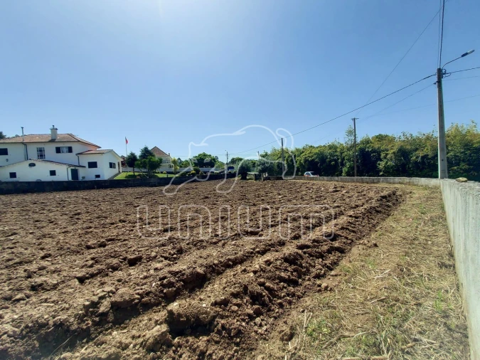 Terreno para Venda em Nogueira, Meixedo e Vilar de Murteda Foto 3