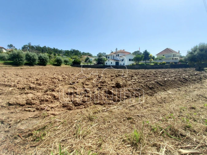 Terreno para Venda em Nogueira, Meixedo e Vilar de Murteda Foto 4