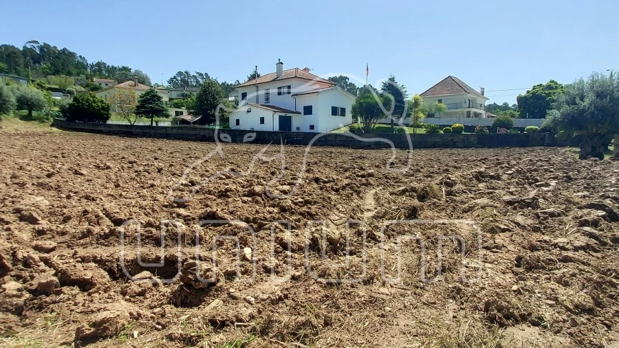 Terreno para Venda em Nogueira, Meixedo e Vilar de Murteda