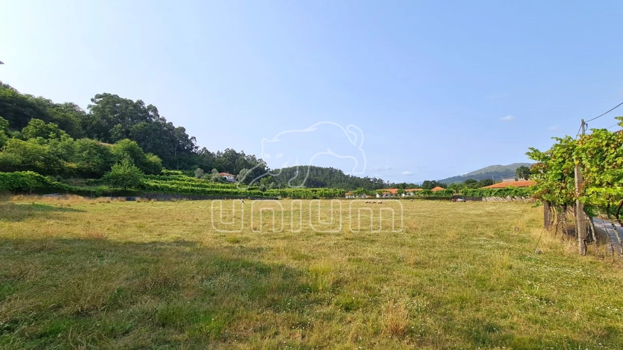 Terreno para Venda em Vade Foto 5