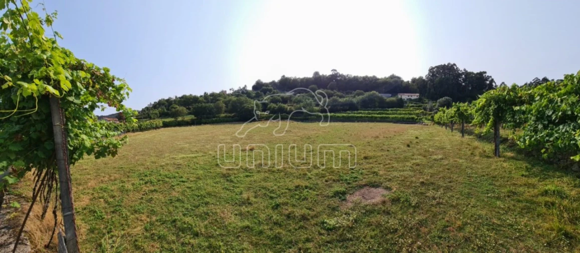 Terreno para Venda em Vade Foto 3