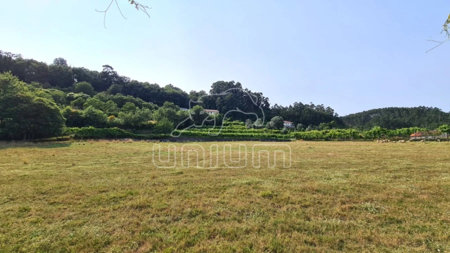 Terreno para Venda em Vade Foto 4