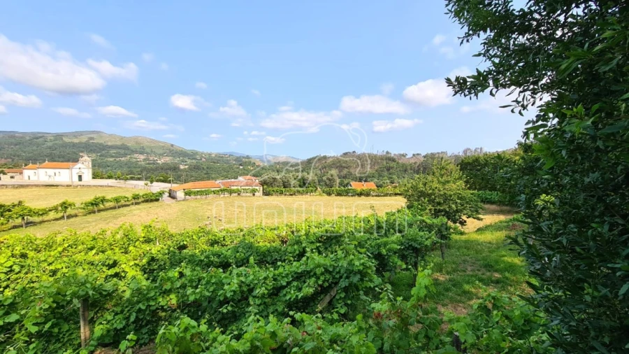 Terreno para Venda em Vade Foto 6