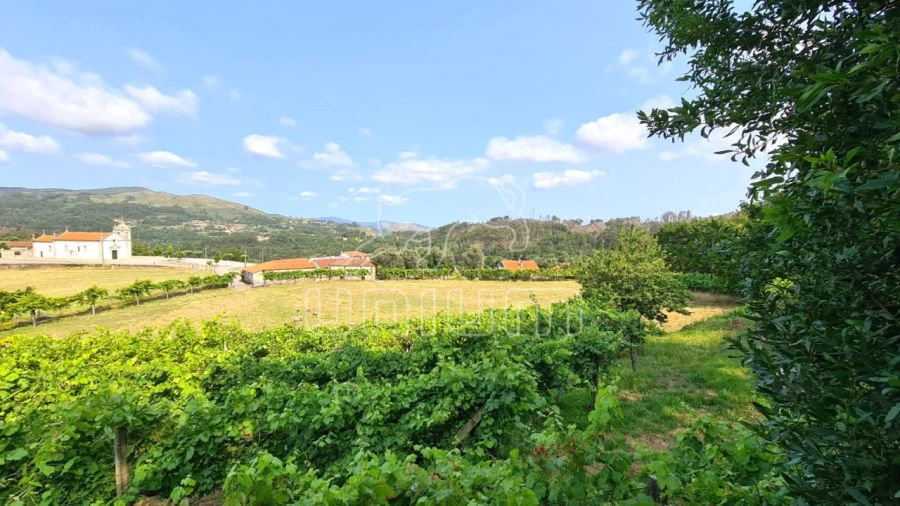 Terreno para Venda em Vade Foto 7