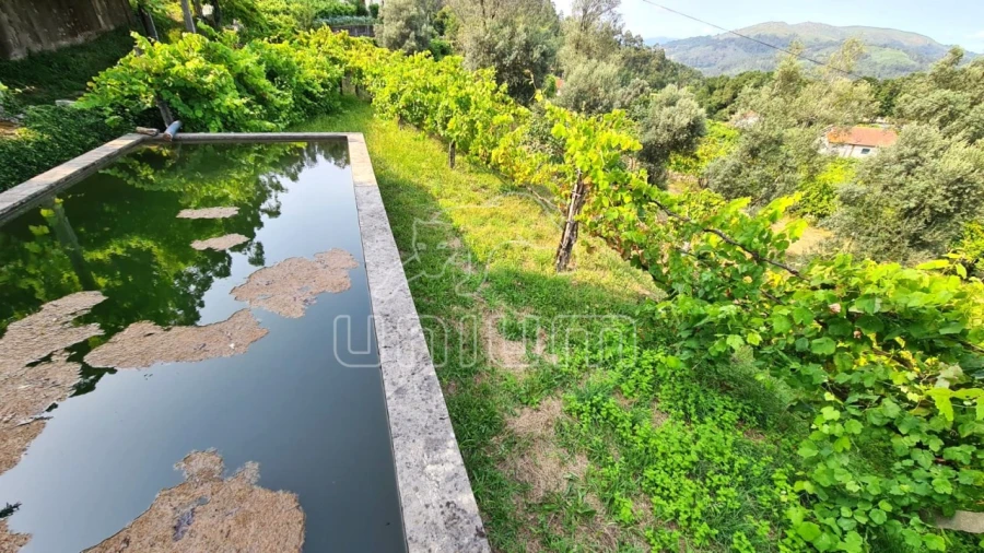 Terreno para Venda em Vade Foto 12