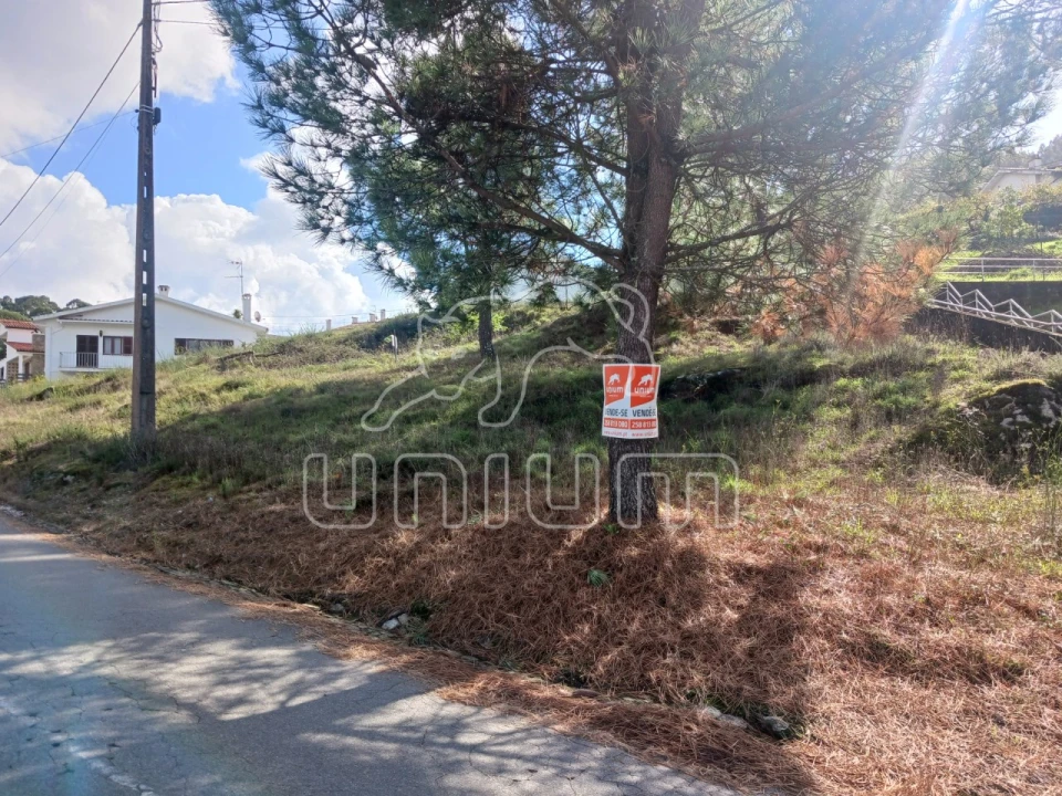 Terreno para Venda em Seixas Foto 1