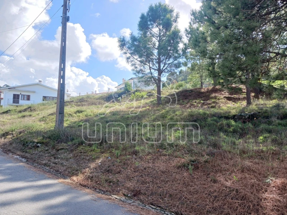 Terreno para Venda em Seixas Foto 5