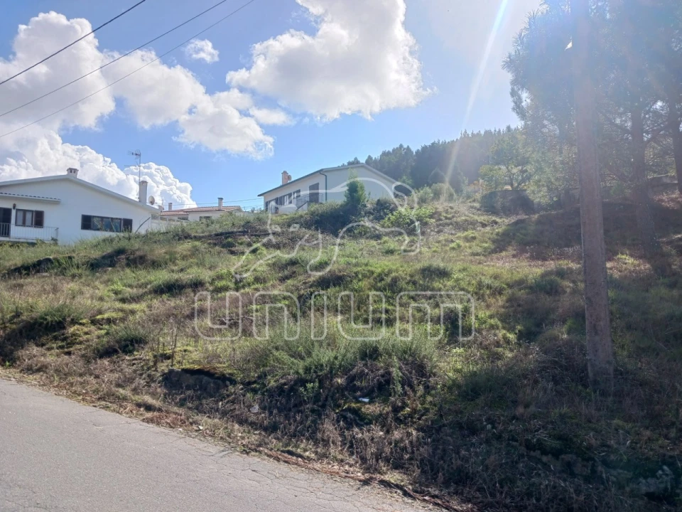 Terreno para Venda em Seixas Foto 6
