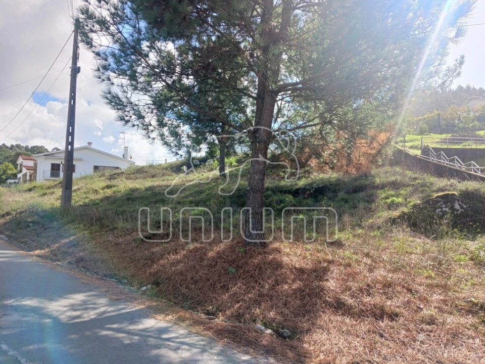 Terreno para Venda em Seixas Foto 7