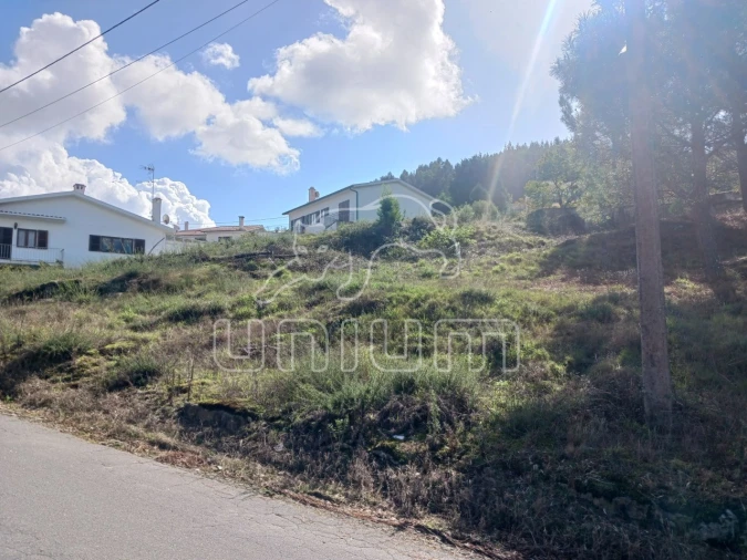 Terreno para Venda em Seixas Foto 6