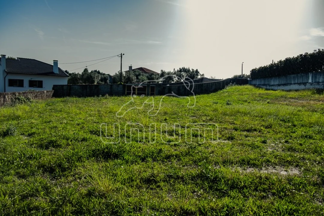 Terreno para Venda em Cardielos e Serreleis Foto 4