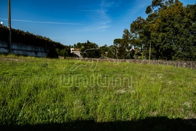 Terreno para Venda em Cardielos e Serreleis
