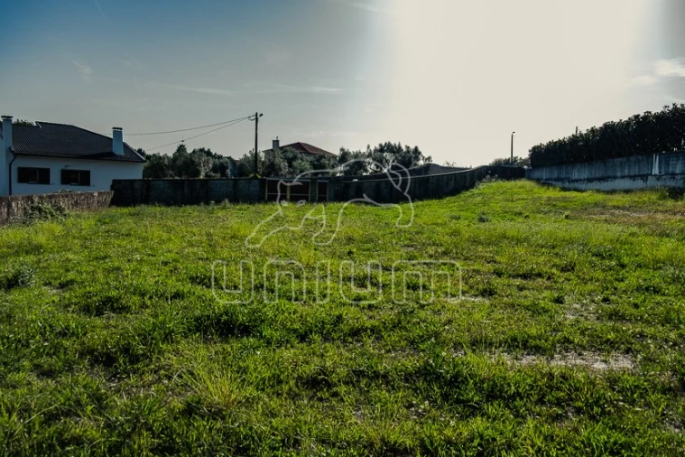 Terreno para Venda em Cardielos e Serreleis Foto 4
