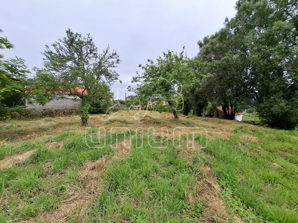 Terreno para Venda em Ancora Foto 6
