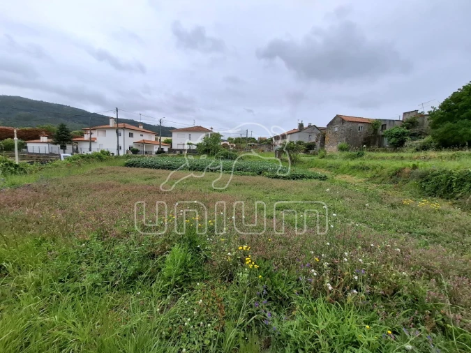 Terreno para Venda em Ancora