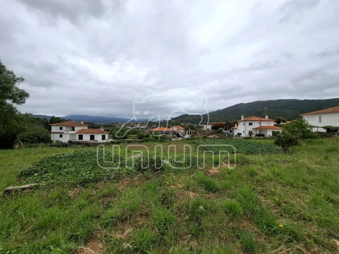 Terreno para Venda em Ancora Foto 4