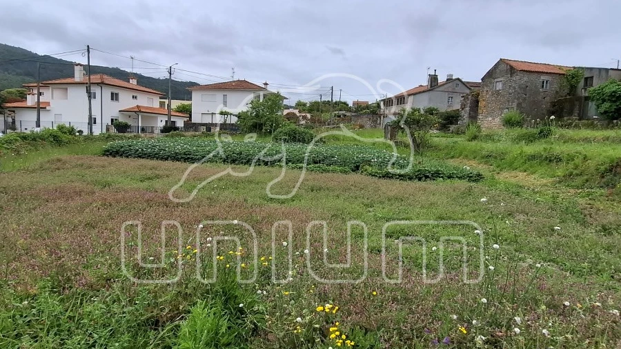Terreno para Venda em Ancora
