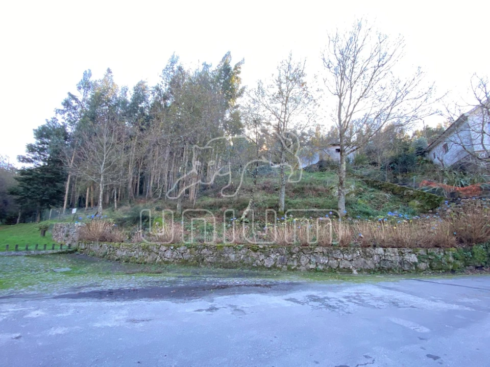 Terreno para Venda em Vila Nova de Anha Foto 4