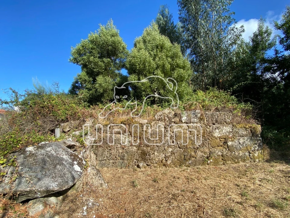 Terreno para Venda em Ancora Foto 1