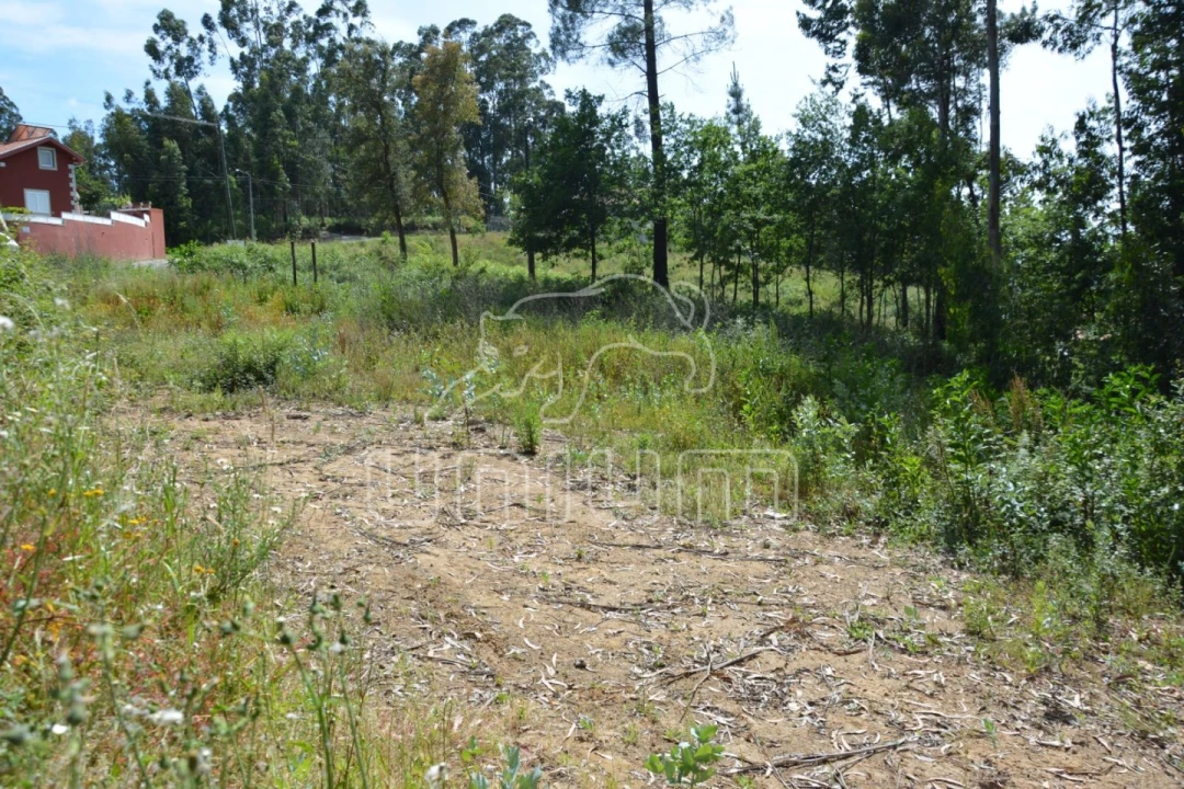 Terreno para Venda em Ribeira do Neiva Foto 5