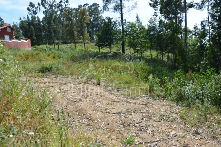 Terreno para Venda em Ribeira do Neiva Foto 5