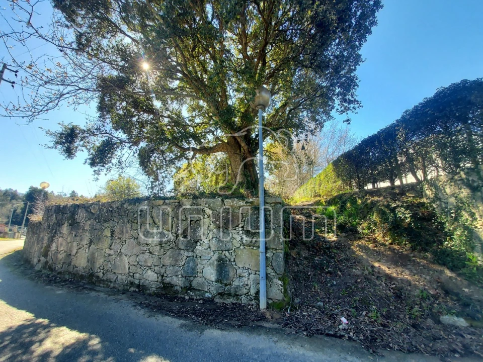 Terreno para Venda em Venade e Azevedo Foto 1