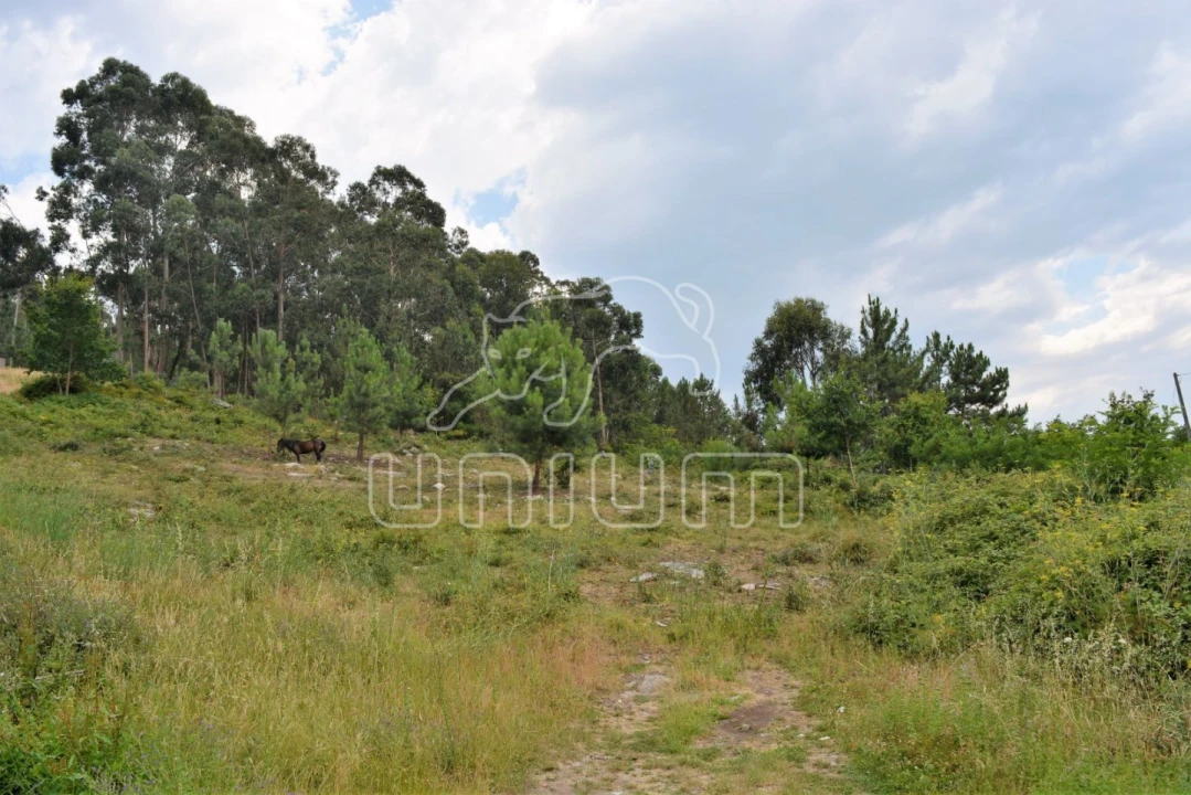 Terreno para Venda em Afife Foto 4