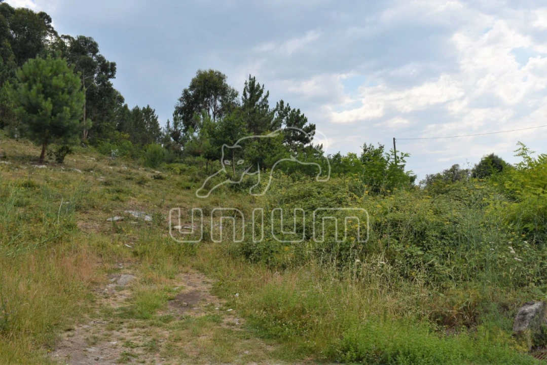 Terreno para Venda em Afife Foto 5