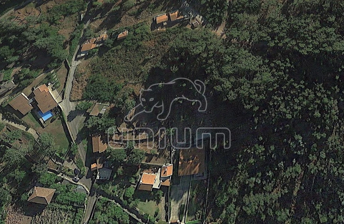 Terreno para Venda em Afife Foto 2