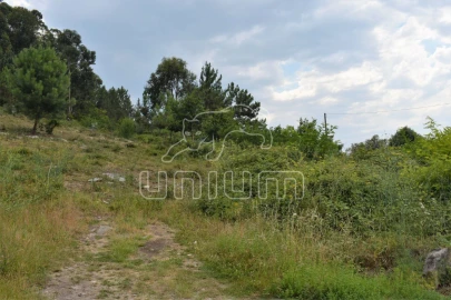 Terreno para Venda em Afife