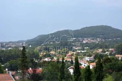 Terreno para Venda em Afife