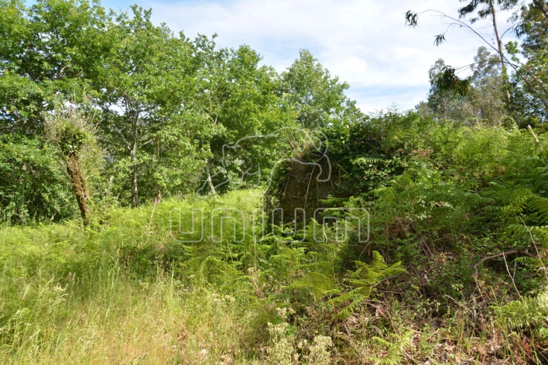 Terreno para Venda em Anais Foto 3