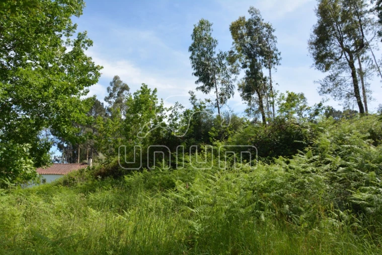 Terreno para Venda em Anais Foto 1