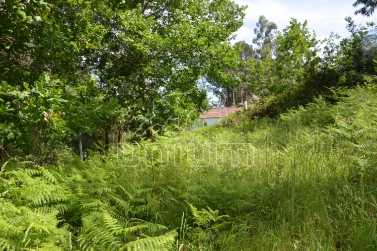 Terreno para Venda em Anais Foto 2