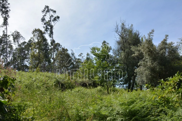 Terreno para Venda em Anais Foto 11