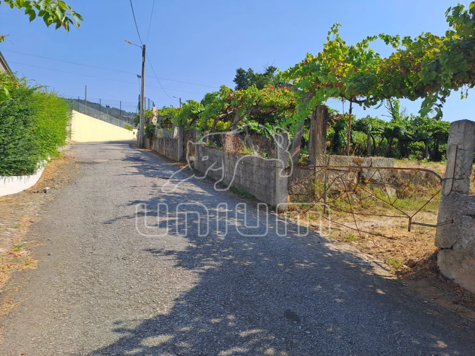 Terreno para Venda em Gondarem Foto 9