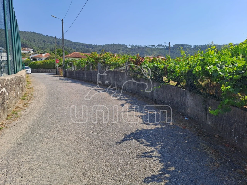Terreno para Venda em Gondarem Foto 15