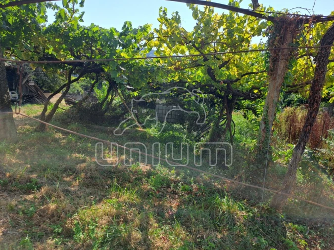 Terreno para Venda em Gondarem Foto 2