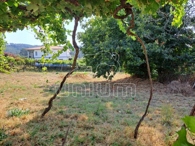 Terreno para Venda em Gondarem Foto 10