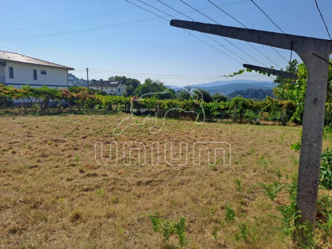 Terreno para Venda em Gondarem Foto 11