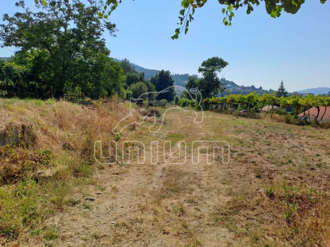 Terreno para Venda em Gondarem Foto 16
