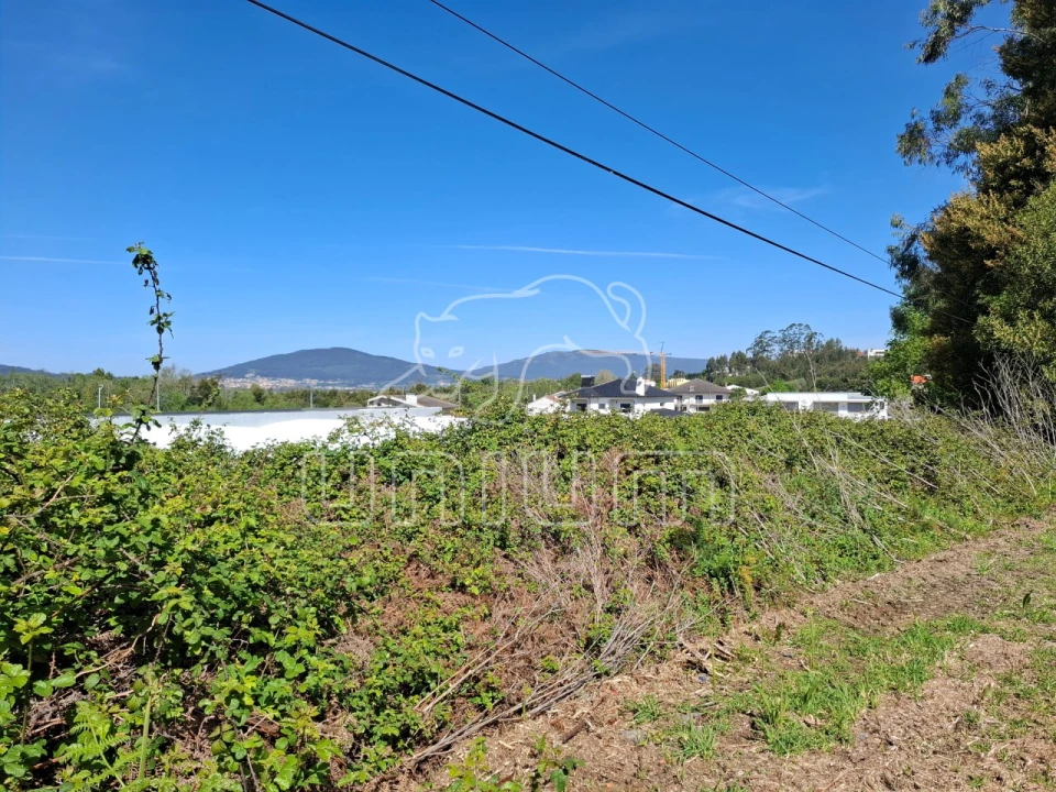 Terreno para Venda em Seixas Foto 12