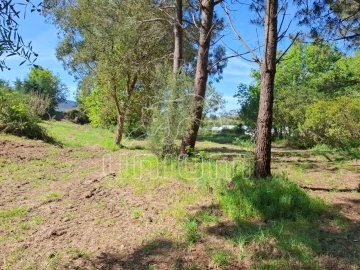 Terreno para Venda em Seixas