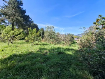 Terreno para Venda em Seixas